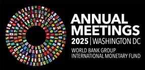  الوطني يشارك بوفد رفيع المستوى في الاجتماعات السنوية لصندوق النقد والبنك الدوليين لعام 2025