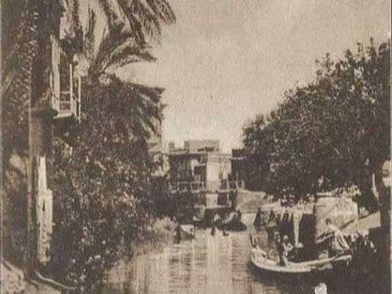قصة قصيرة .. جسر الغربان