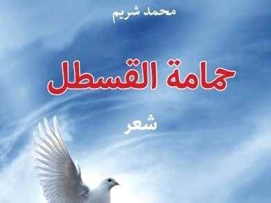نافذة على ذاكرة «حمامة القسطل»