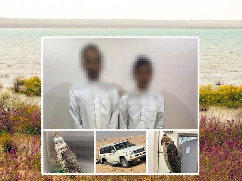 «الداخلية»: ضبط شخصين دخلا محمية صباح الأحمد دون تصريح