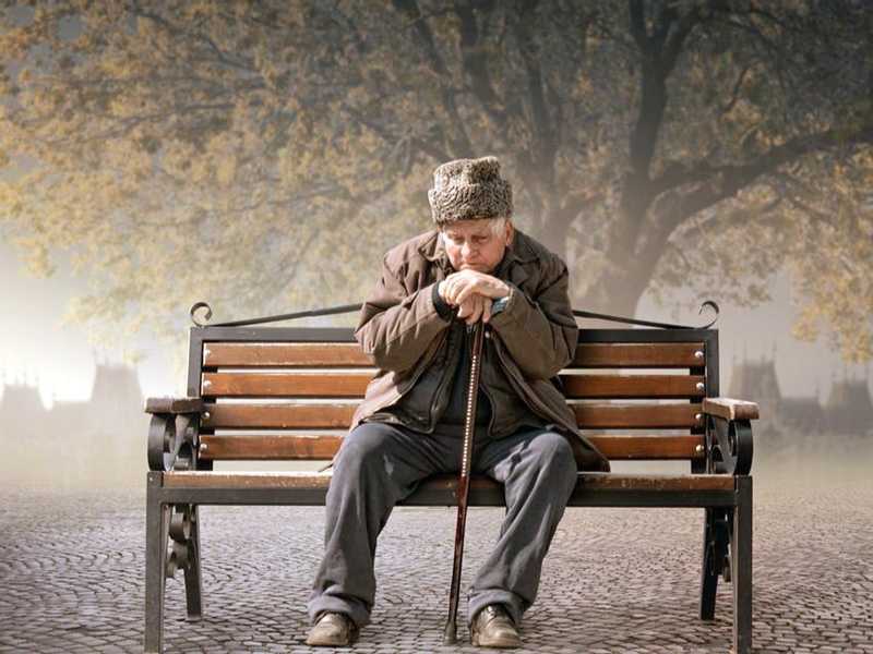 قصة قصيرة .. الشجرة القديمة