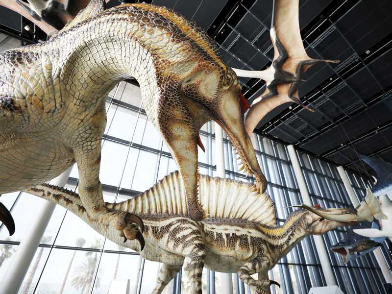 فعاليات تعليمية وترفيهية في «عبدالله السالم الثقافي»