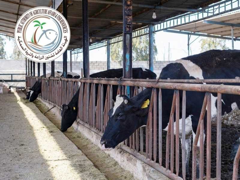 «الزراعة»: حملة تحصين ضد الحمّى القلاعية