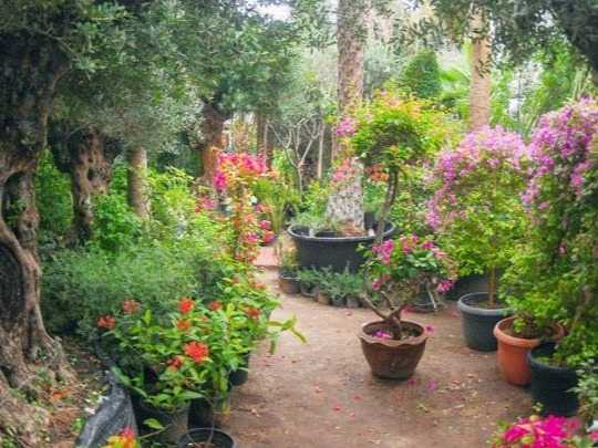 %100 نسبه البناء في المشاتل ذات الملكيه الخاصه