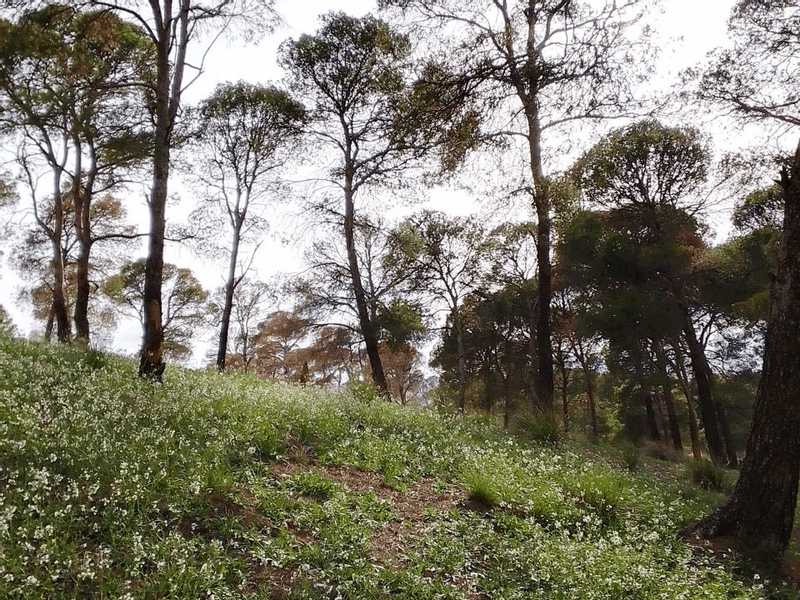 قصة قصيرة .. مطر الذكريات