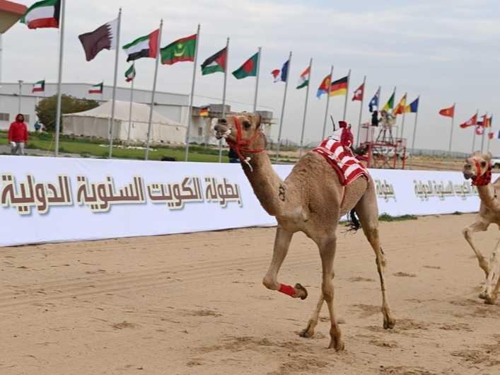 بطوله الكويت الدوليه لسباقات الهجن تنطلق السبت