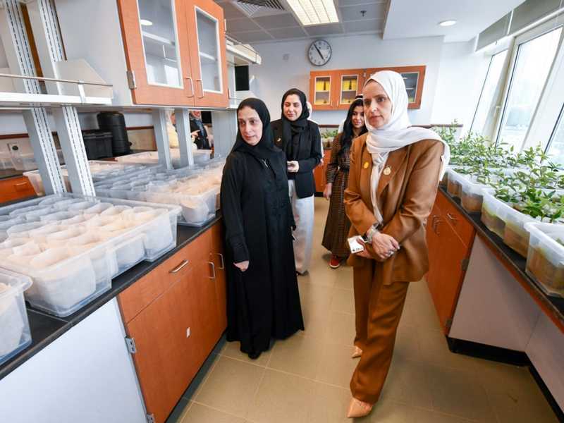 وزيره التنميه: تطوير اليات الرصد والمتابعه لحمايه الموارد الطبيعيه