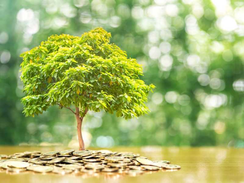 اصول صناديق الاستثمار تبقي فوق المليار دينار