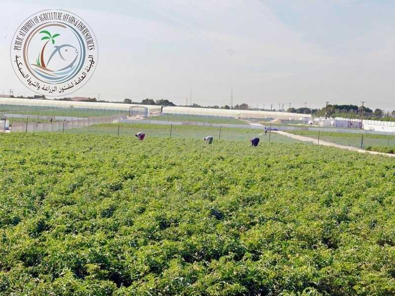 منع التصرف في جميع الحيازات التابعه لهيئه الزراعه