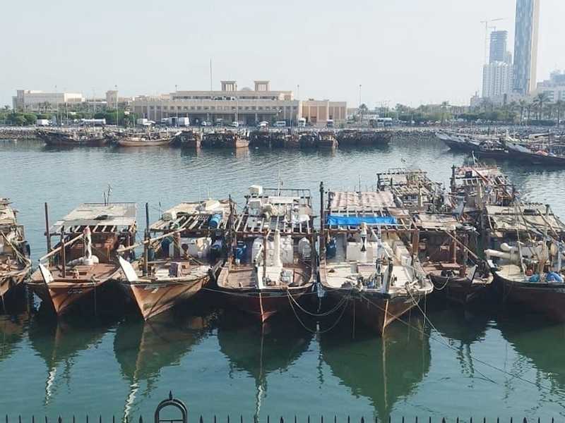 «البيئه»: السماح لقوارب صيد النزهه بالابحار داخل «الجون» بدءا من يوم غد 