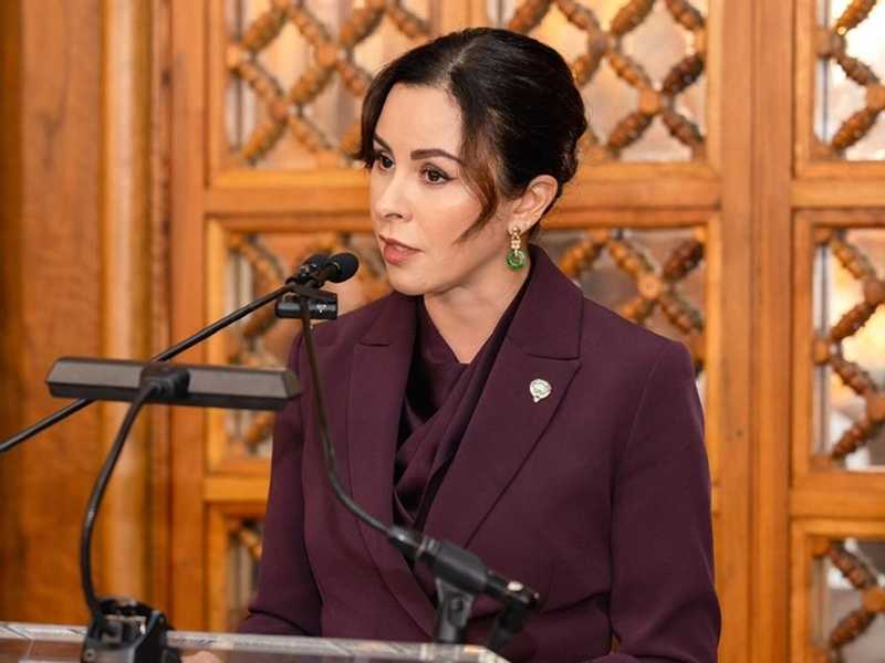 الزين الصباح: ادعاءات «وول ستريت» بشان مشاركه الكويت بالعمليات ضد ايران باطله