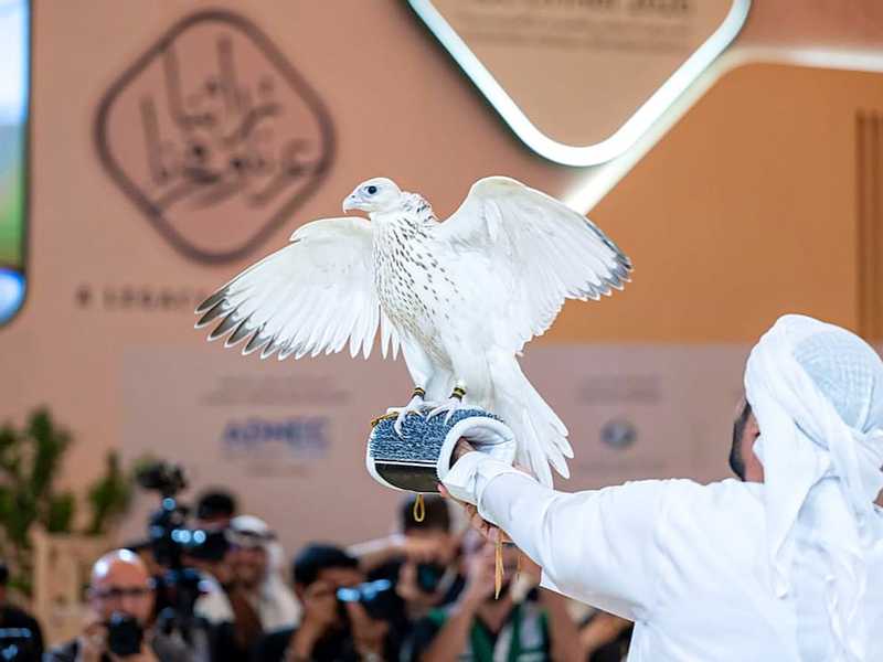 بيع اغلي صقر في تاريخ المزادات العالميه.. بابوظبي
