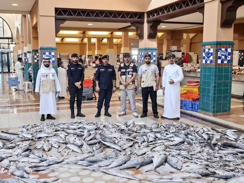 ضبط 500 كيلوغرام اسماك فاسده في حمله امنيه بالاحمدي