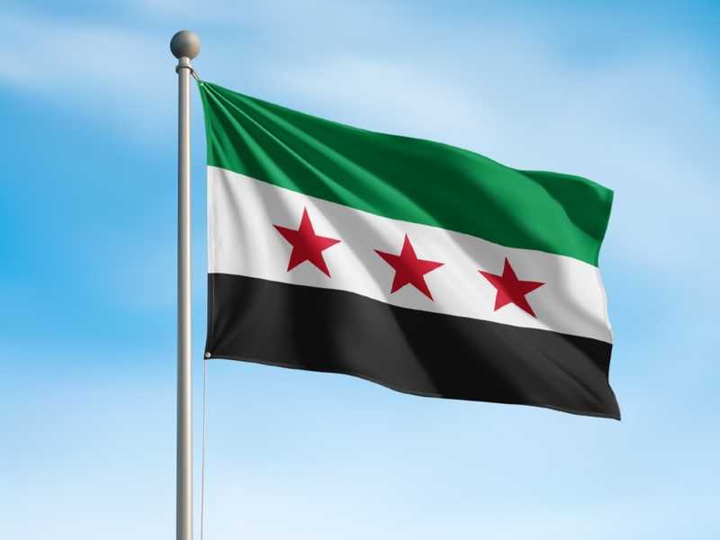 سوريا: لم يكن هناك تنسيق مسبق قبل الغارات الاردنيه