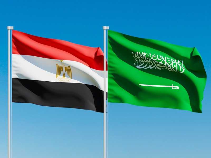 مجلس الدفاع الوطني المصري يقرر تقديم كافه اشكال الدعم للسعوديه