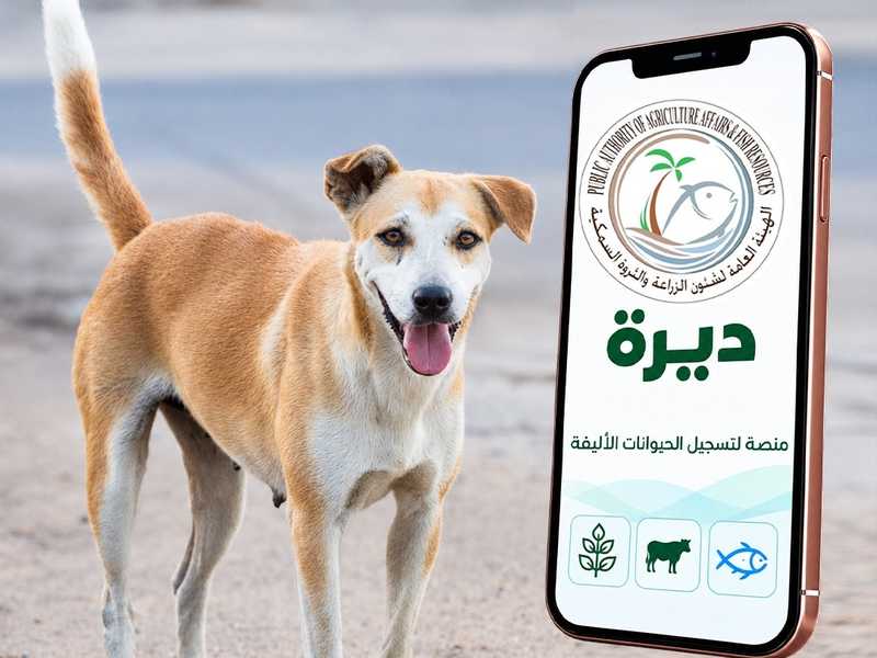هيئه الزراعه تدشن منصه «ديره» للابلاغ عن الحيوانات الضاره